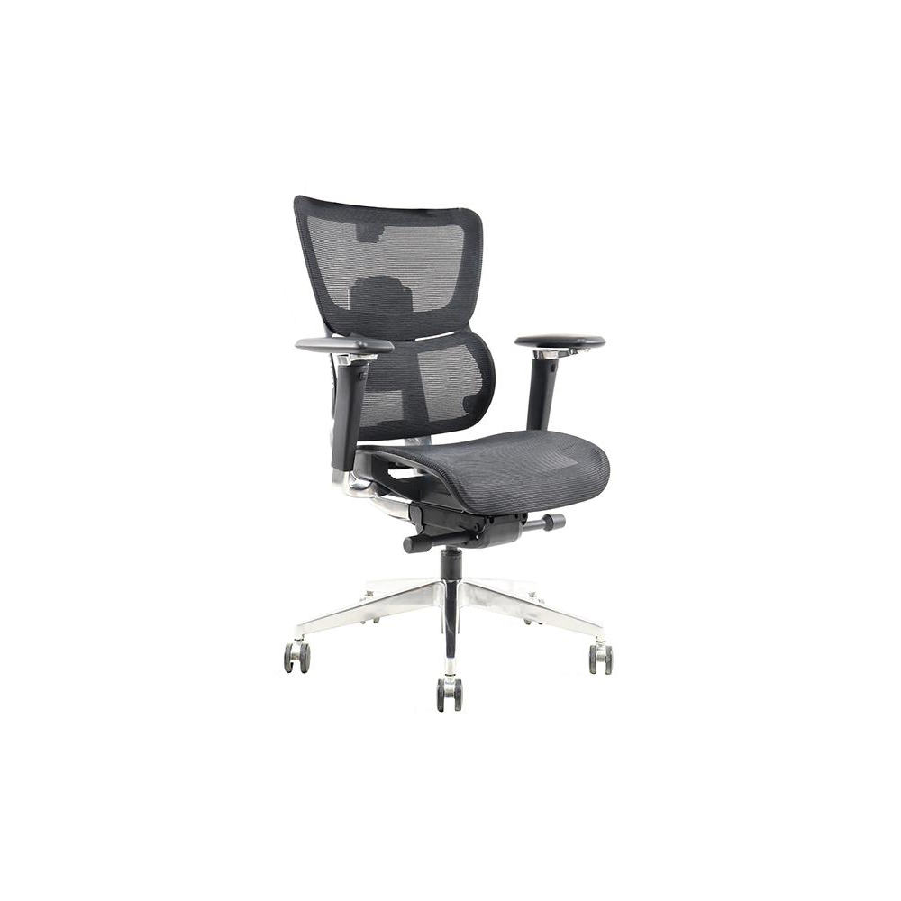 Aseel Medium back chair Black | FlakeTech Business Aseel Medium back chair Black